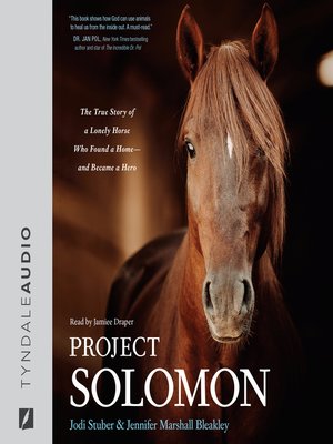 cover image of Project Solomon